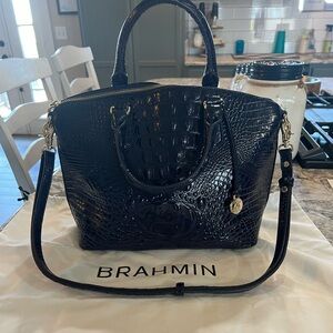 Brahmin large duxbury
